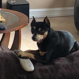 Meet your Posher, Jill